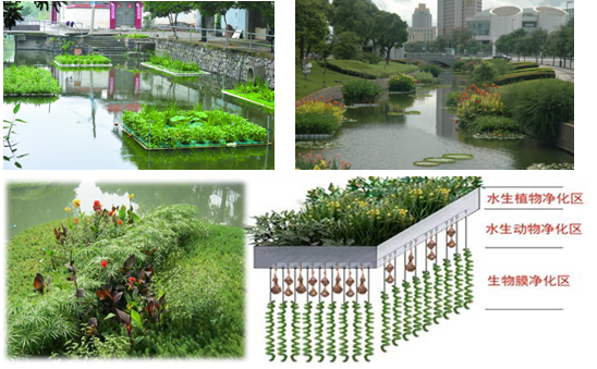 中山火炬開發區內河涌綜合整治一期生態修復項目